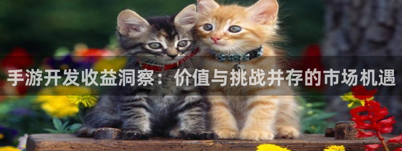 摩根娱乐官网入口网站在线观看：手游开发收益洞察：价值与挑战并