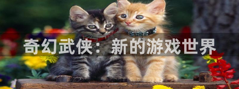 摩根娱乐这个平台怎么样啊：奇幻武侠：新的游戏世界