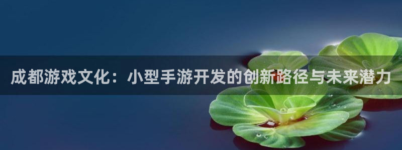 摩根娱乐这个平台怎么样知乎：成都游戏文化：小型手游开发的创新