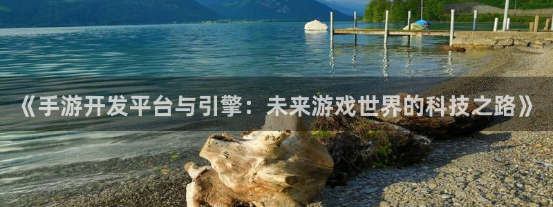 摩根娱乐登录：《手游开发平台与引擎：未来游戏世界的科技之路》