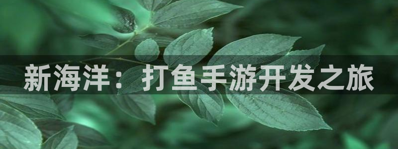 摩根娱乐官网入口网址是多少：新海洋：打鱼手游开发之旅