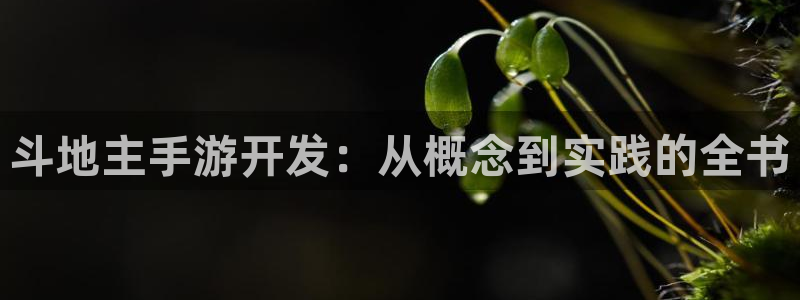 摩根娱乐下载