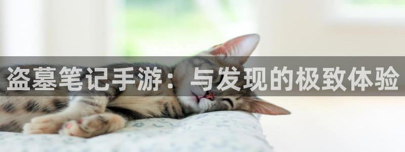 摩根娱乐app下载官网
