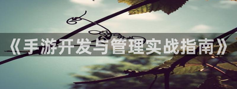 摩根娱乐官网入口网址大全