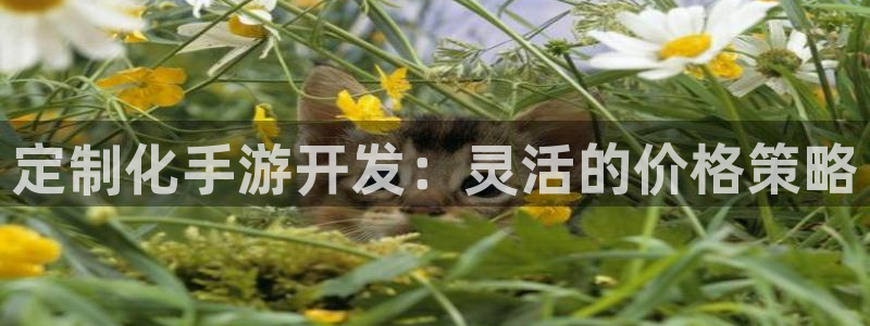 摩根娱乐app下载官网苹果：定制化手游开发：灵活的价格策略