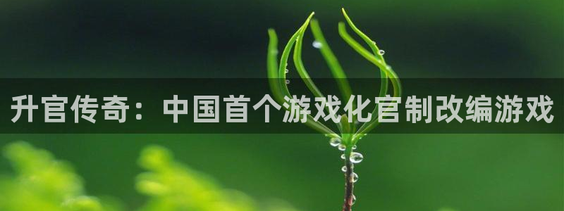 摩根娱乐这个平台怎么样知乎：升官传奇：中国首个游戏化官制改编