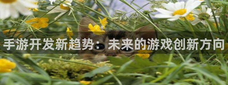 摩根娱乐挂机项目有哪些：手游开发新趋势：未来的游戏创新方向