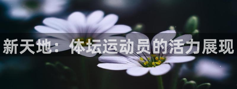 米兰体育报官网