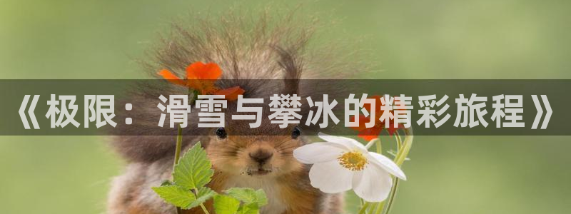 米兰体育官网