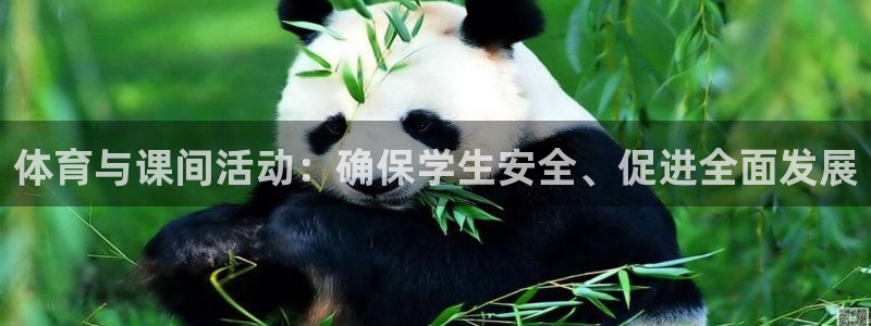 米兰体育.：体育与课间活动：确保学生安全、促进全面发展