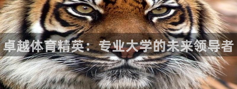 米兰体育入口