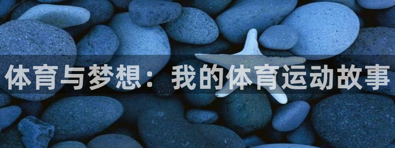 米兰体育下载官网最新版