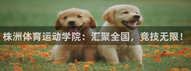 米兰体育中心