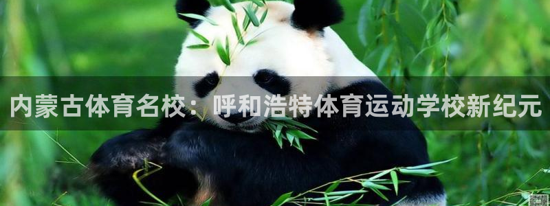 米兰体育官网