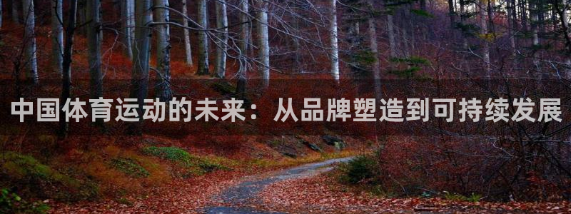 米兰体育怎么样