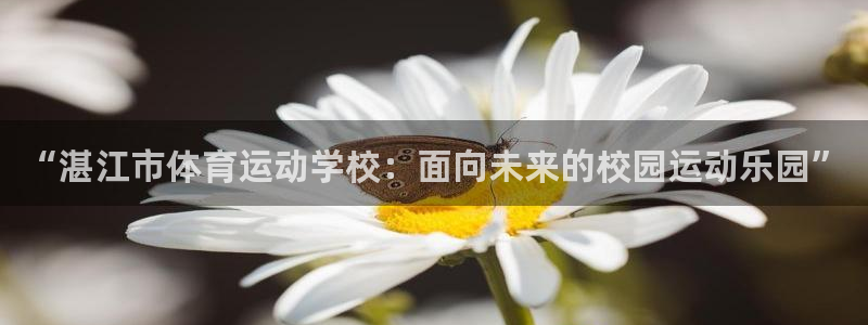 米兰体育官网：“湛江市体育运动学校：面向未来的校园运动乐园”