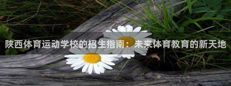 米兰体育网页版