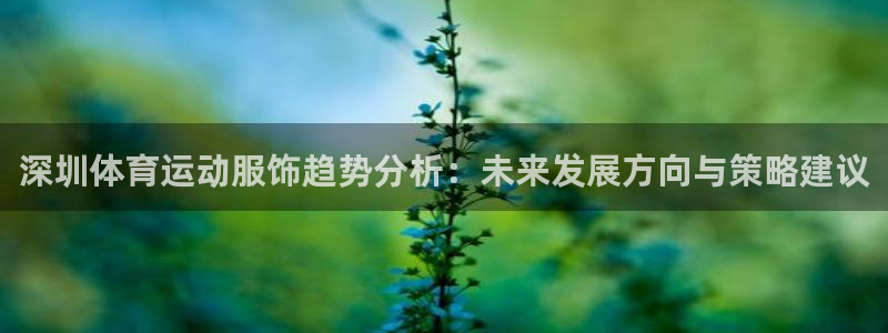 米兰体育中心：深圳体育运动服饰趋势分析：未来发展方向与策略建议