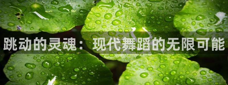 米兰体育最新版下载：跳动的灵魂：现代舞蹈的无限可能